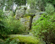 Naturdenkmal Hinterpocher 